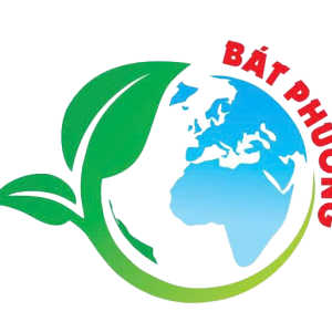 dich-vu-bat-phuong-giai-phap-toan-dien-uy-tin-va-hieu-qua